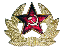 Кокарда металлическая рядового состава Советской Армии - фото 10408