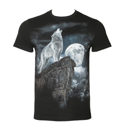 Футболка Wolf Devilfish Black DF020B - фото 16083