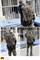 Рюкзак Бундесвер flecktarn 65л б/у 630365 Рюкзак Бундесвер flecktarn 65л б/у 630365