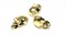 Бусина для плетения из паракорда Череп Gold 8080